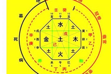 五行喜金水|八字喜金水：健康養生攻略